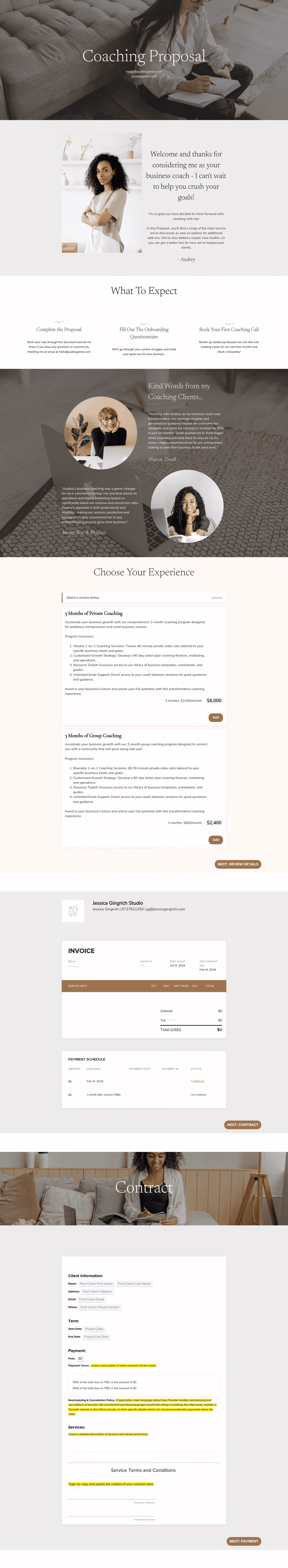 Audrey James Client Proposal for Business Coaches