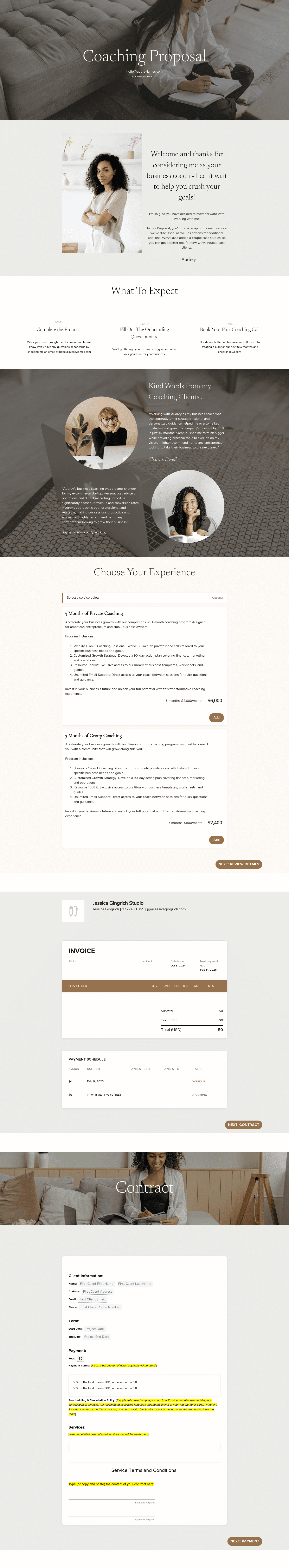 Audrey James Client Proposal for Business Coaches