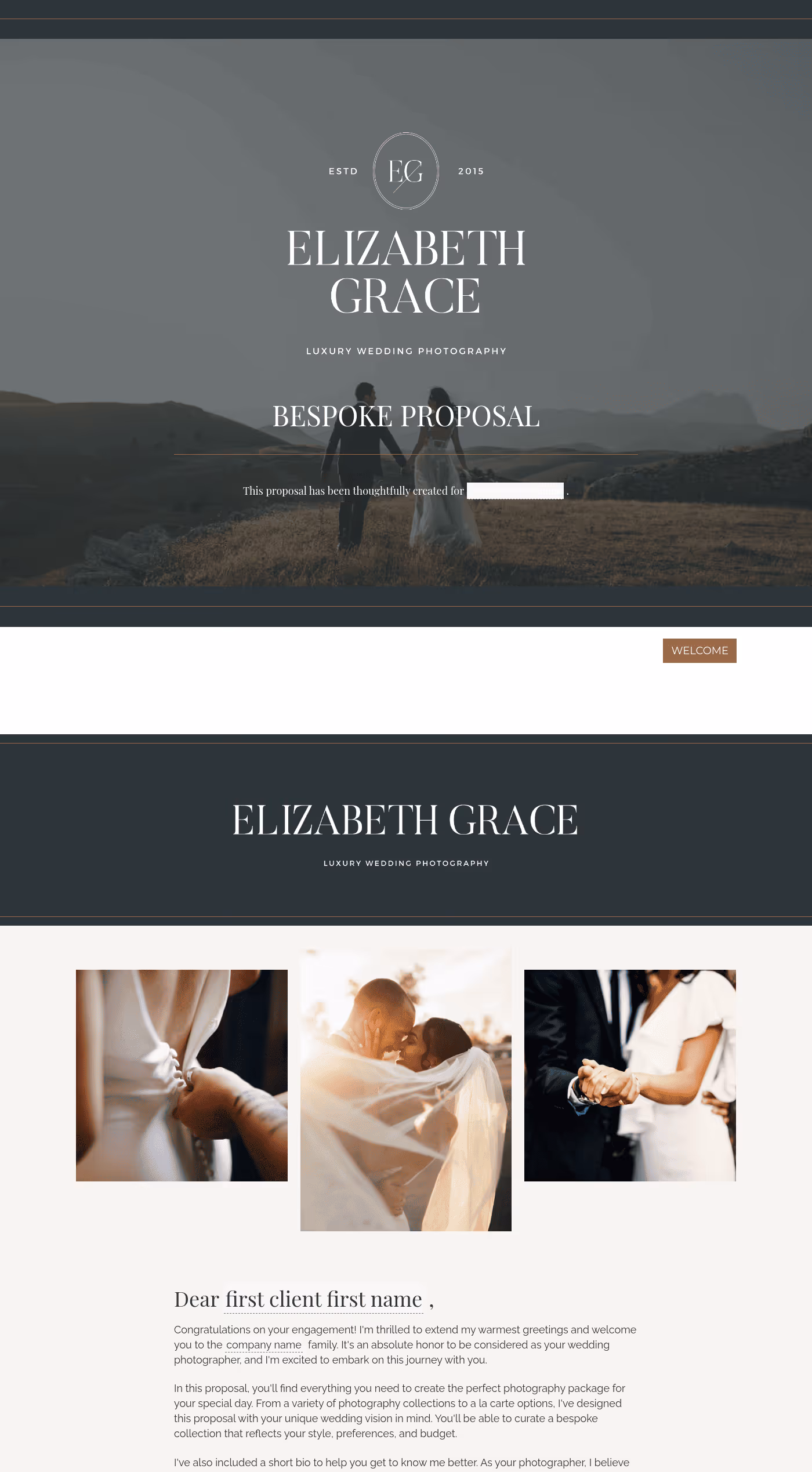 Wedding Photographer Proposal