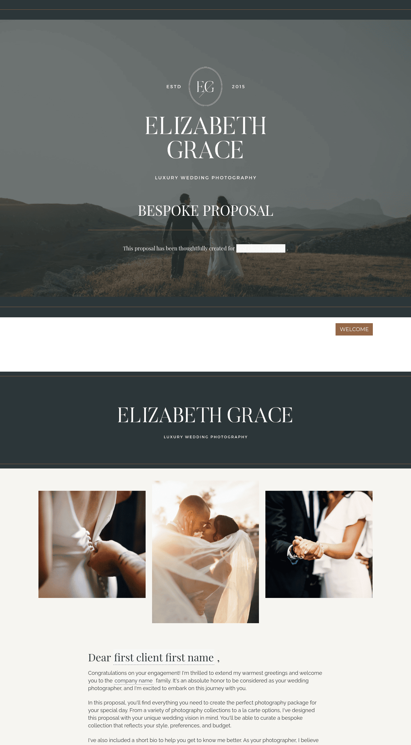 Wedding Photographer Proposal