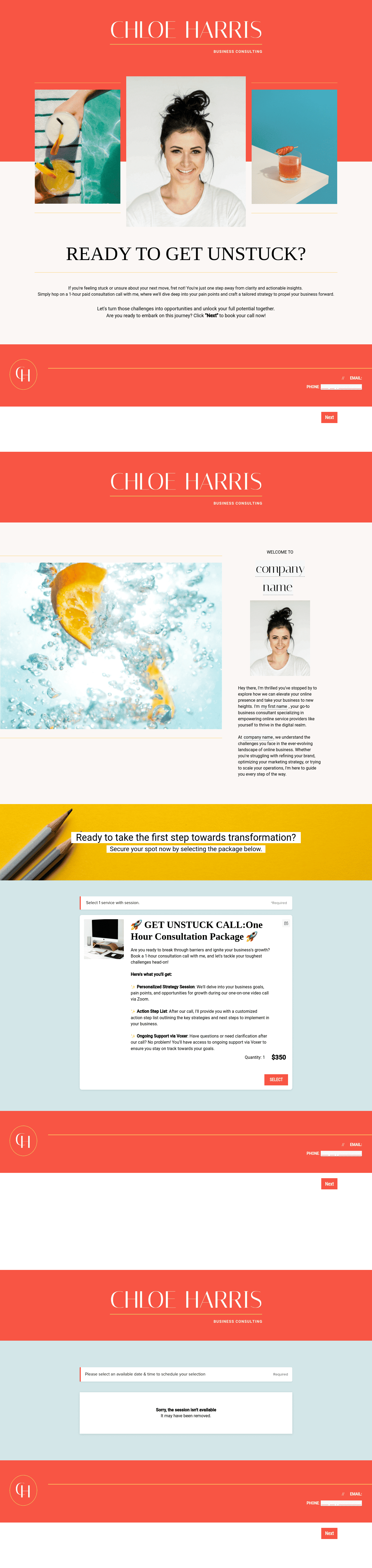 Business Consultant Booking File