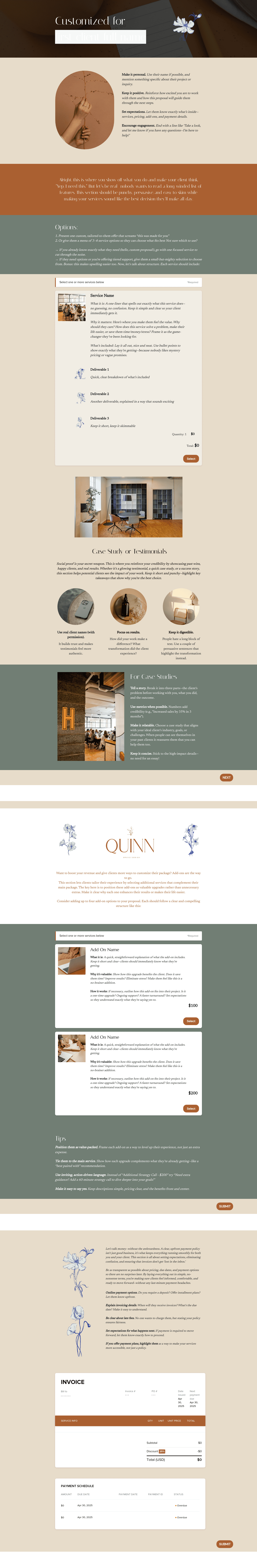 Quinn Brand Designer Proposal