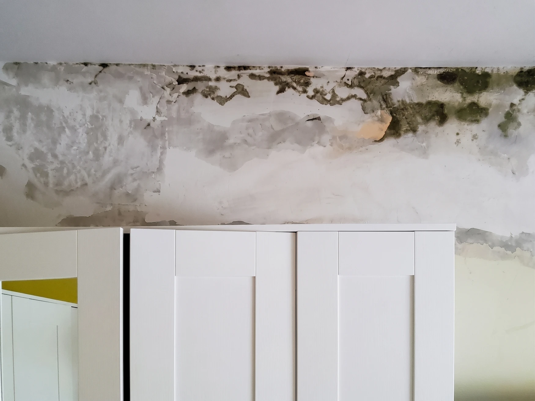 AQUAPROVED vochtbestrijding: condensatie en schimmel per ruimte in een woning