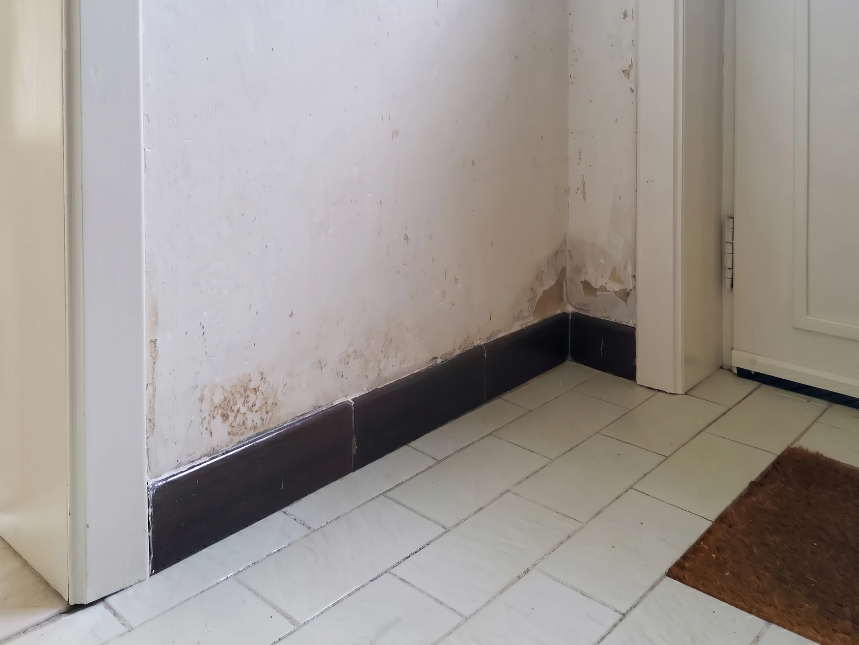 AQUAPROVED vochtbestrijding: muur met een horizontale vochtlijn door opstijgend vocht