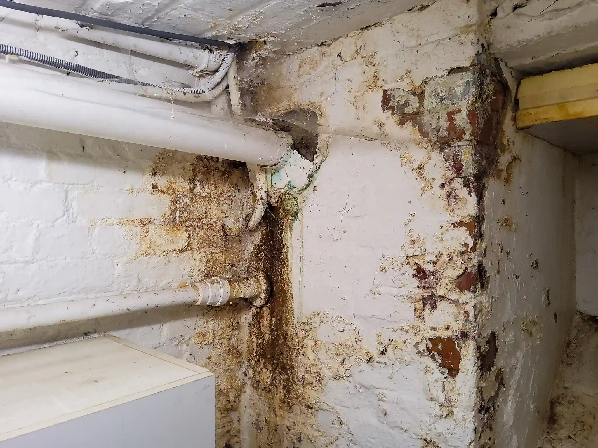 AQUAPROVED vochtbestrijding: waterinfiltratie met schimmelvorming in een kelder