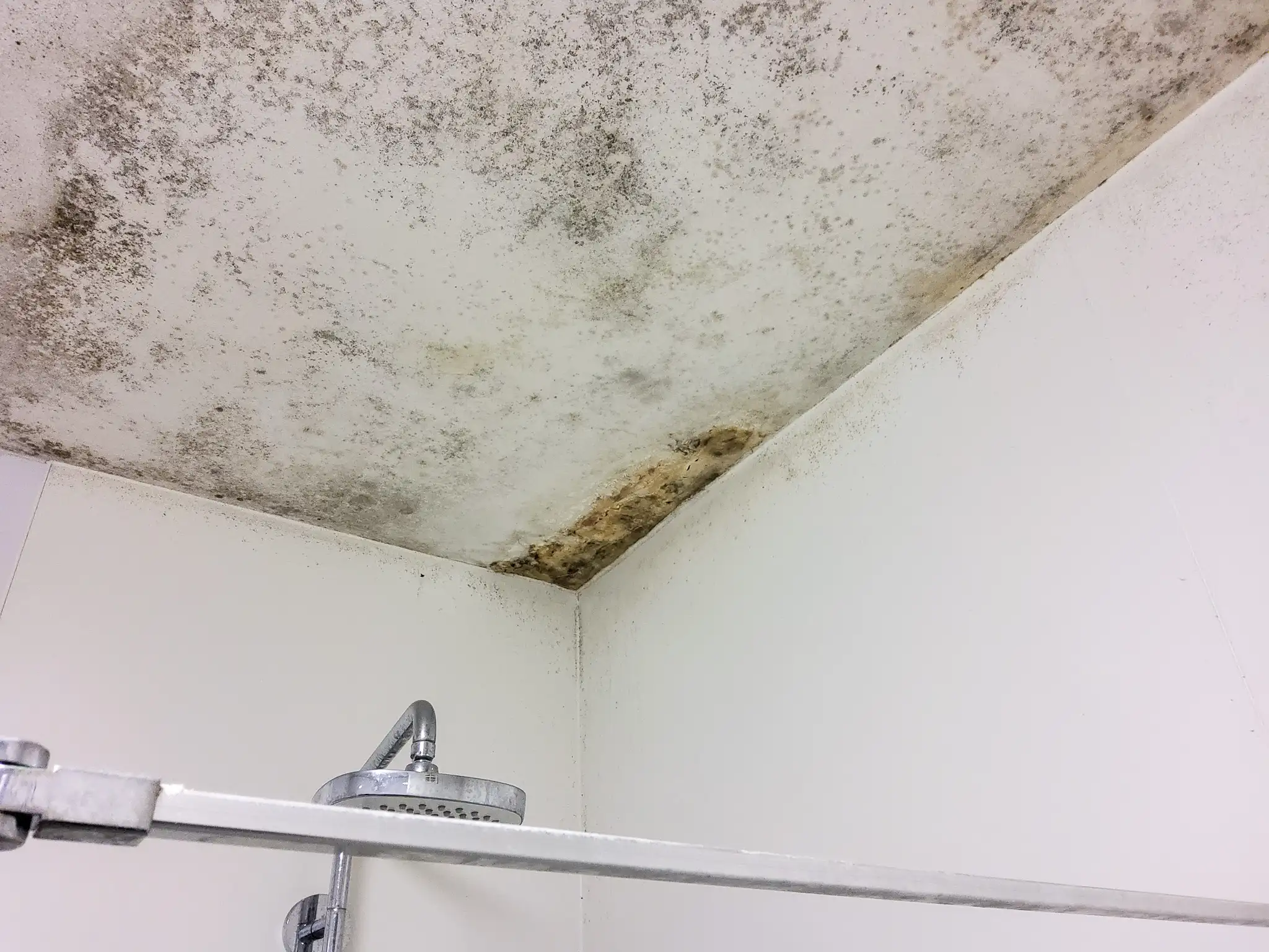 AQUAPROVED vochtbestrijding: schimmel in de douche door condensatie en te weinig ventilatie