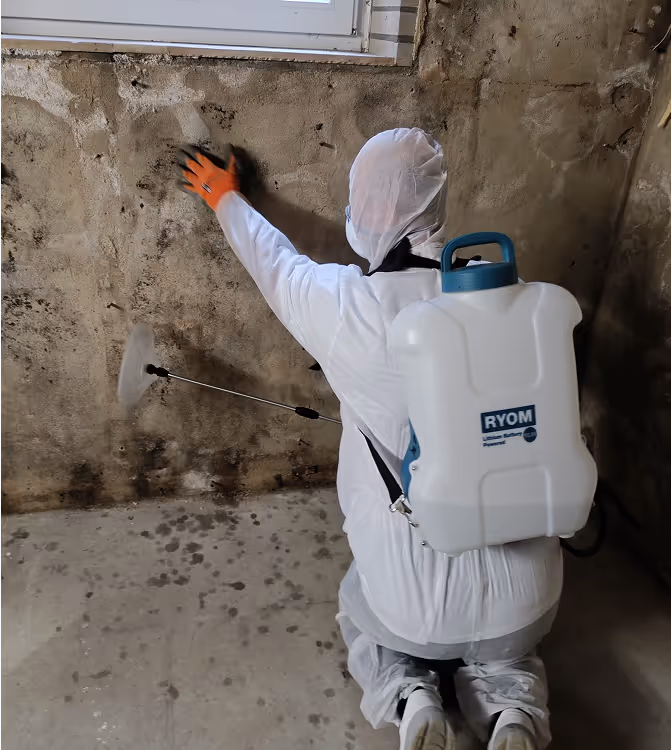 Fachgerechte Schimmelsanierung an einer stark befallenen Wand in Mönchengladbach