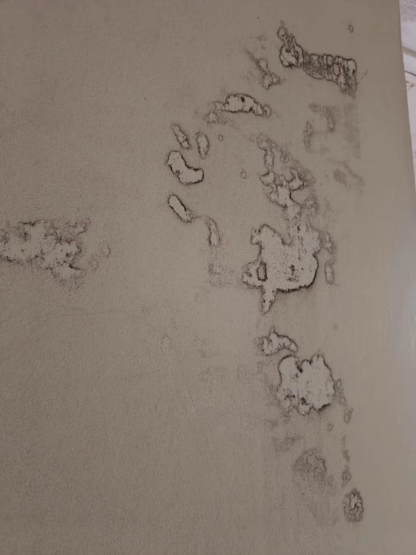 Schimmelbeseitigung: unbehandelte Wand mit Schimmelschaden
