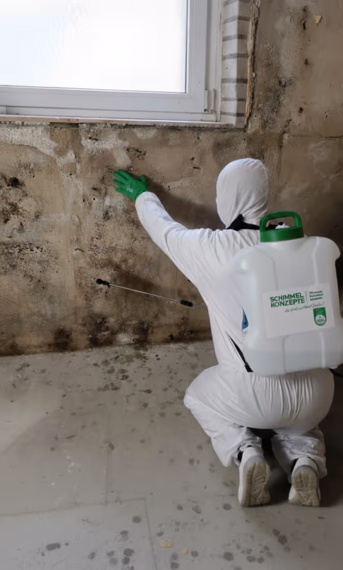 Schimmel beseitigen lassen Mönchengladbach. DEKRA zertifizierter Fachbetrieb für Schimmelsanierungen bei der Entfernung von gefährlichem Schwarzschimmel.