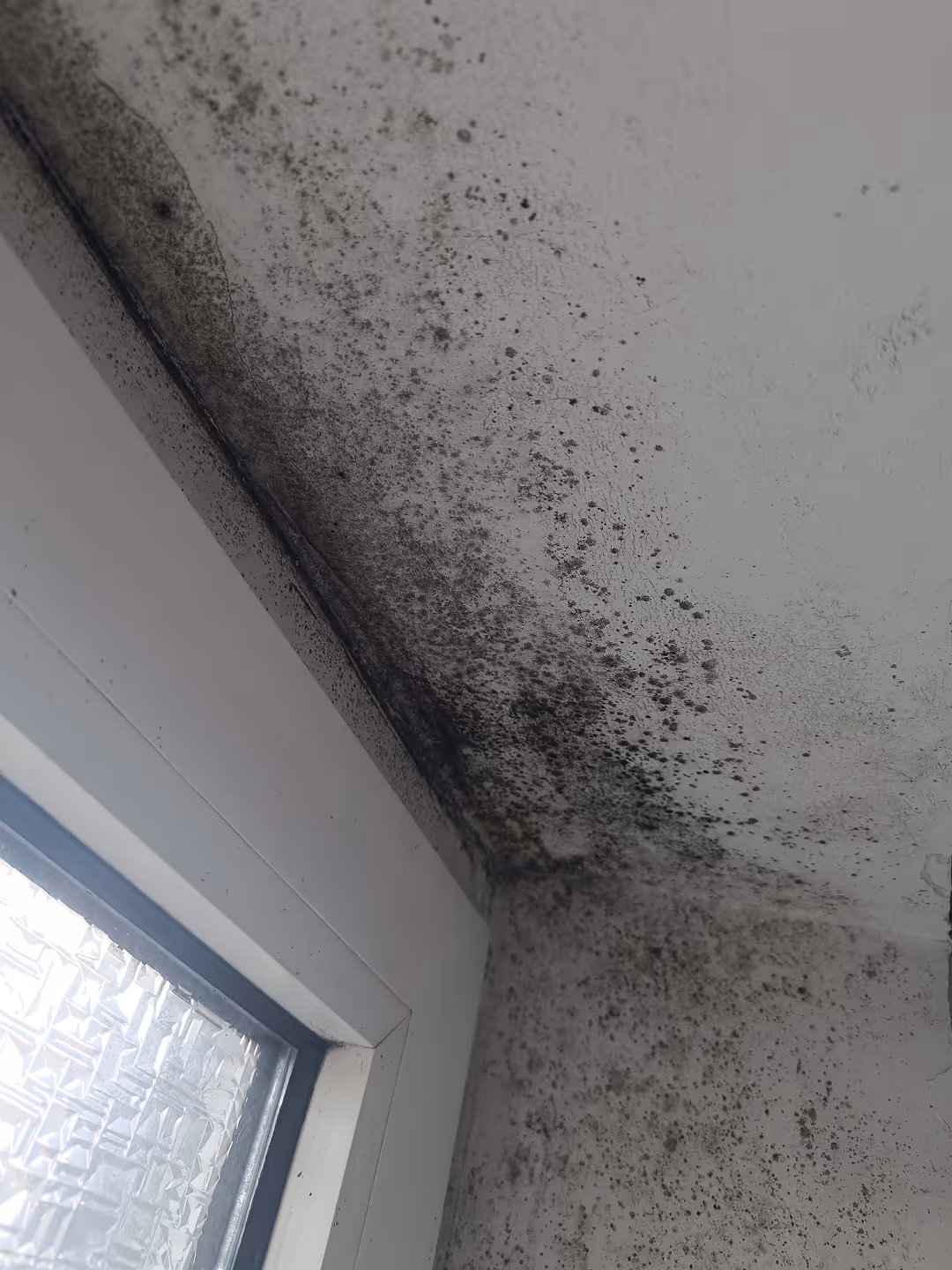 Dunkle Stockflecken an einer feuchten Wandfläche vor der Schimmelbehandlung in Titz