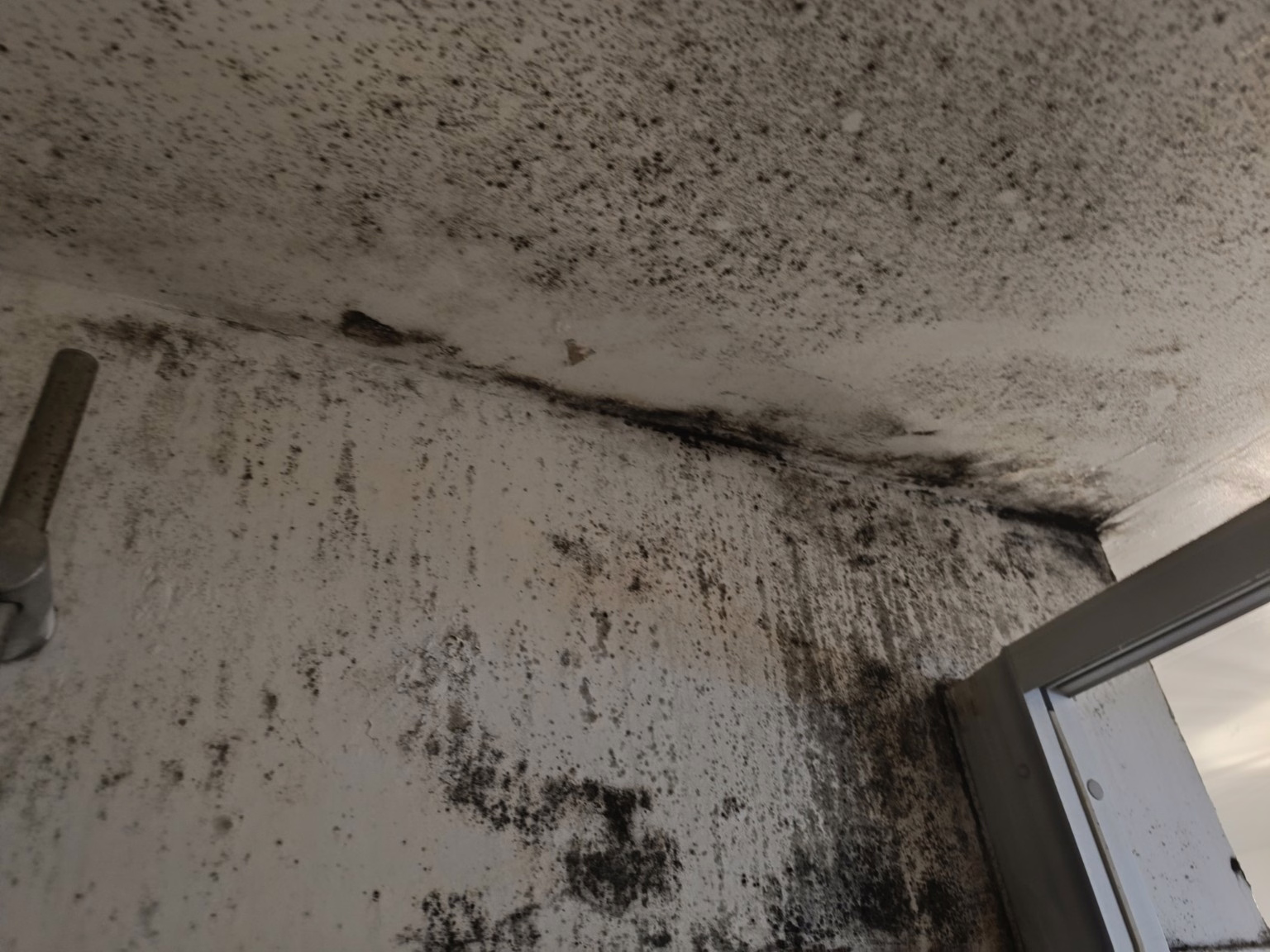 Schimmelsanierung in Köln. Stark verschimmeltes Badezimmer in Köln.