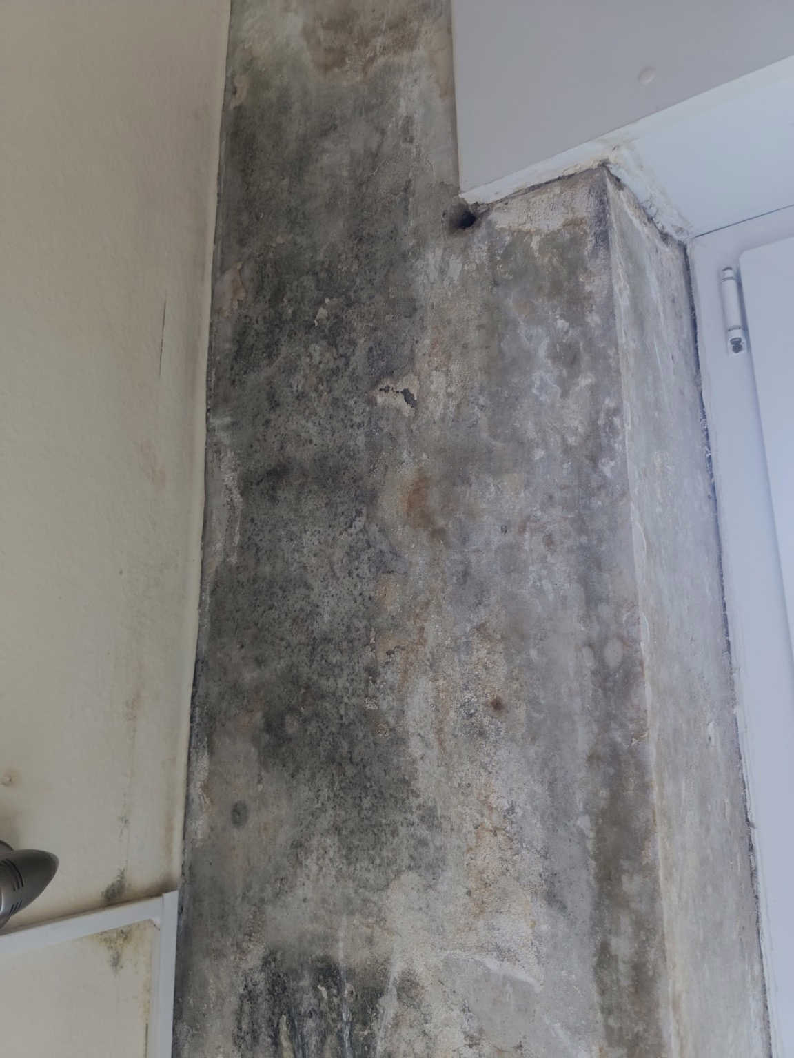 Schimmelsanierung in Düren von DEKRA und TÜV zertifiziertem Fachbetrieb mit Auszeichnung steht für außerordentlich gute Qualität bei der Schimmelbeseitigung in Düren.