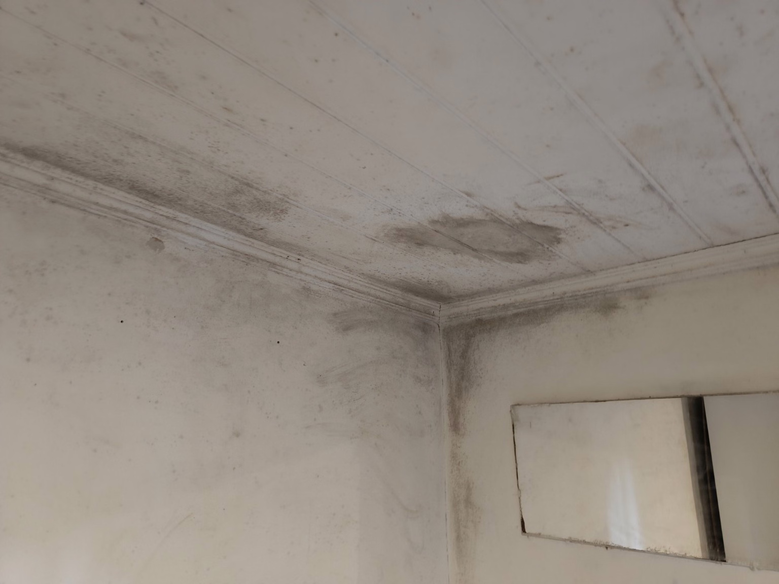 Schwarze Flecken und Schimmel an Decke in Willich nach Feuchteschaden.