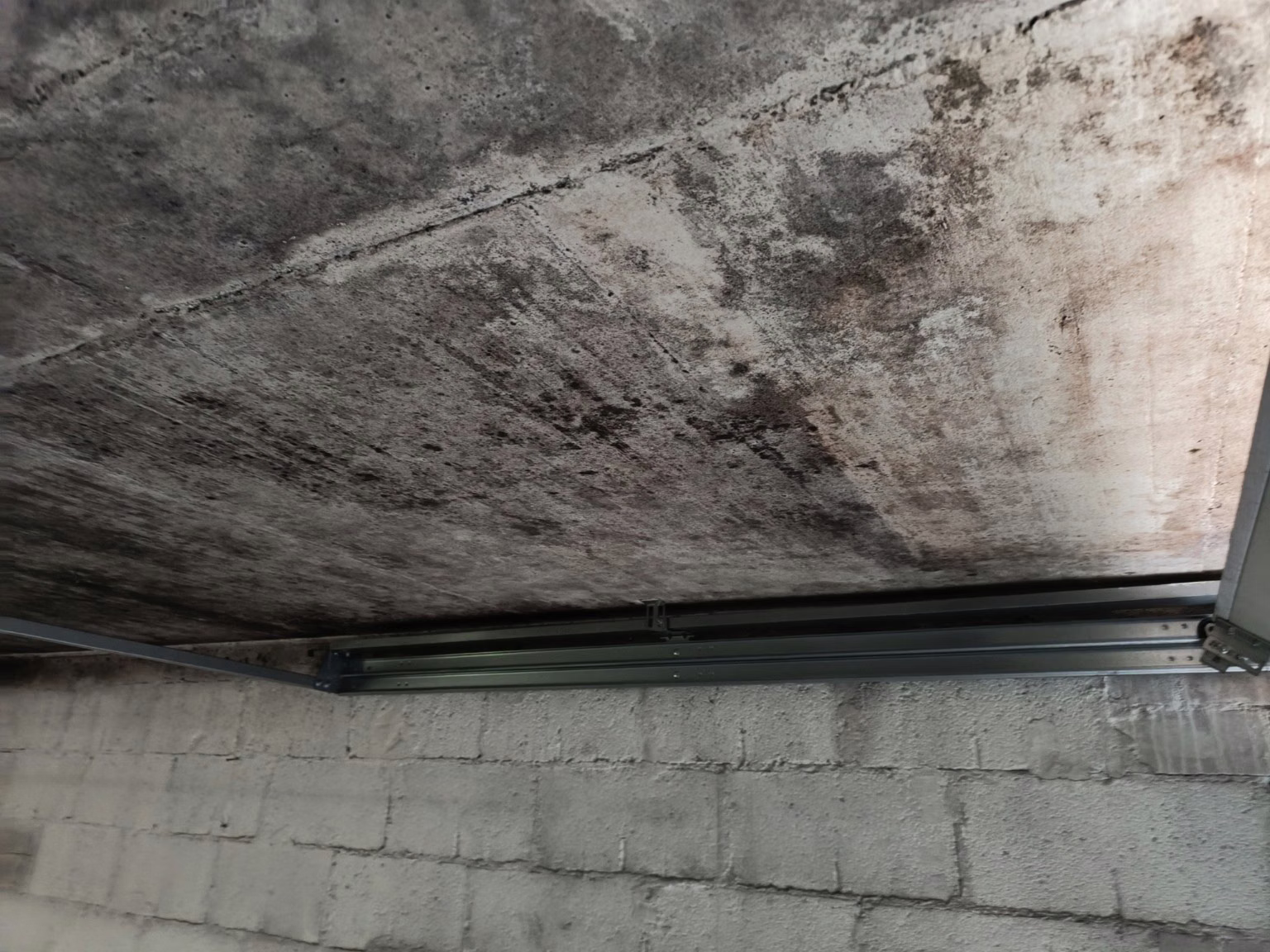 Schimmelbeseitigung in Köln. Gefährlicher Schwarzschimmel an einer Garagendecke in Köln.