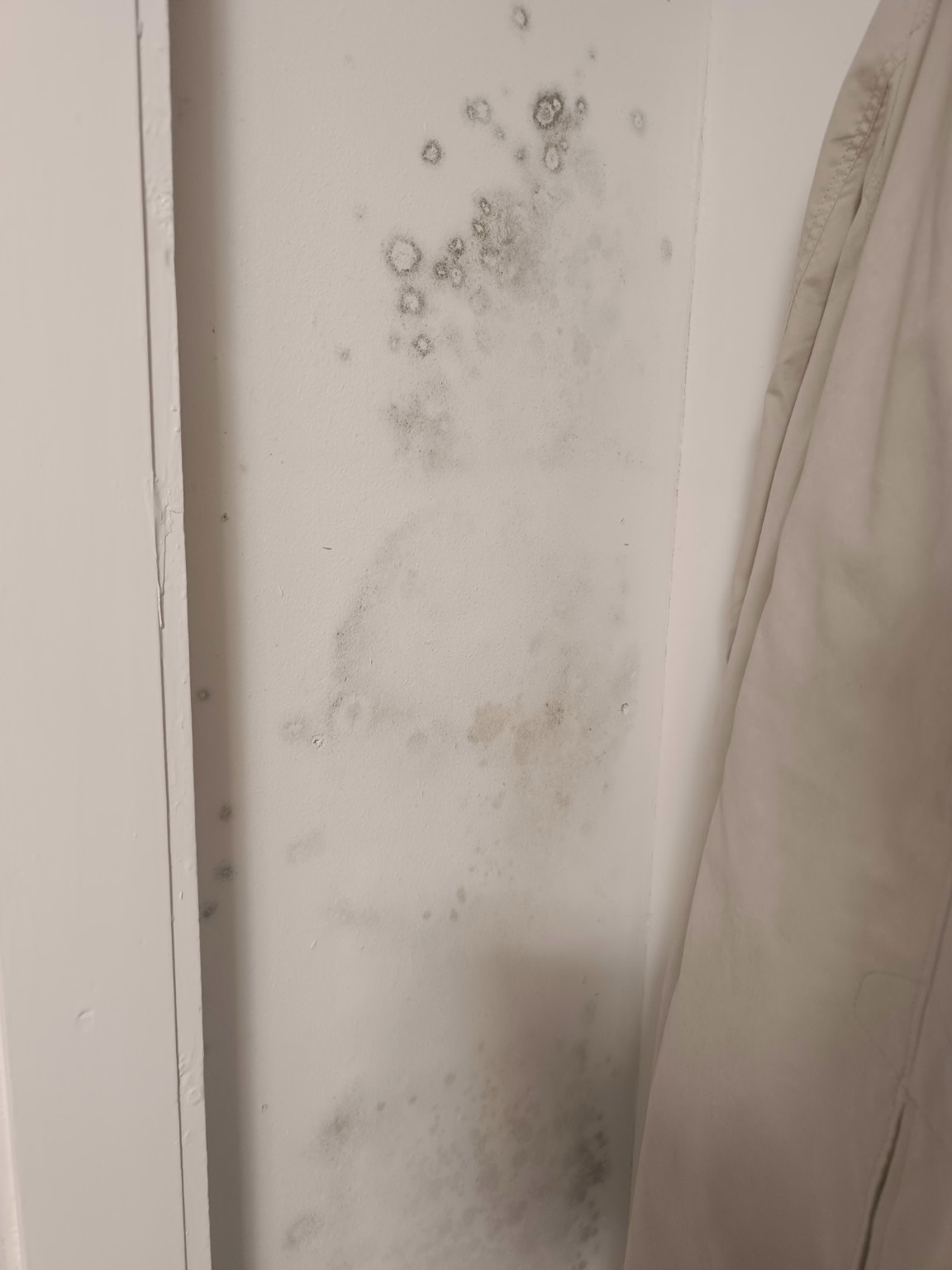 Schwarze Stockflecken an einer feuchten Wand vor der Schimmelsanierung in Mönchengladbach
