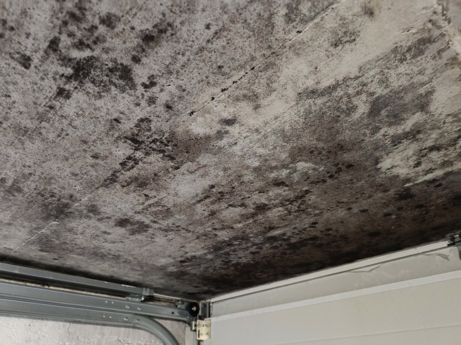 Schwarze Flecken und Schimmel an Decke in Willich nach Feuchteschaden.
