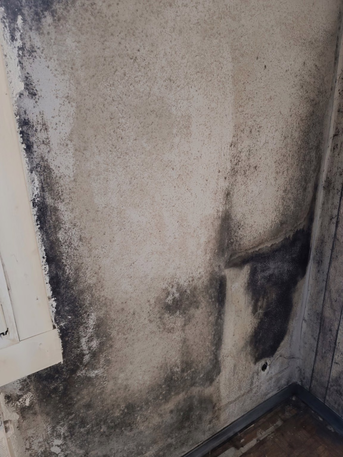 Schimmelflecken in Willich. Schimmelschaden an Wänden.