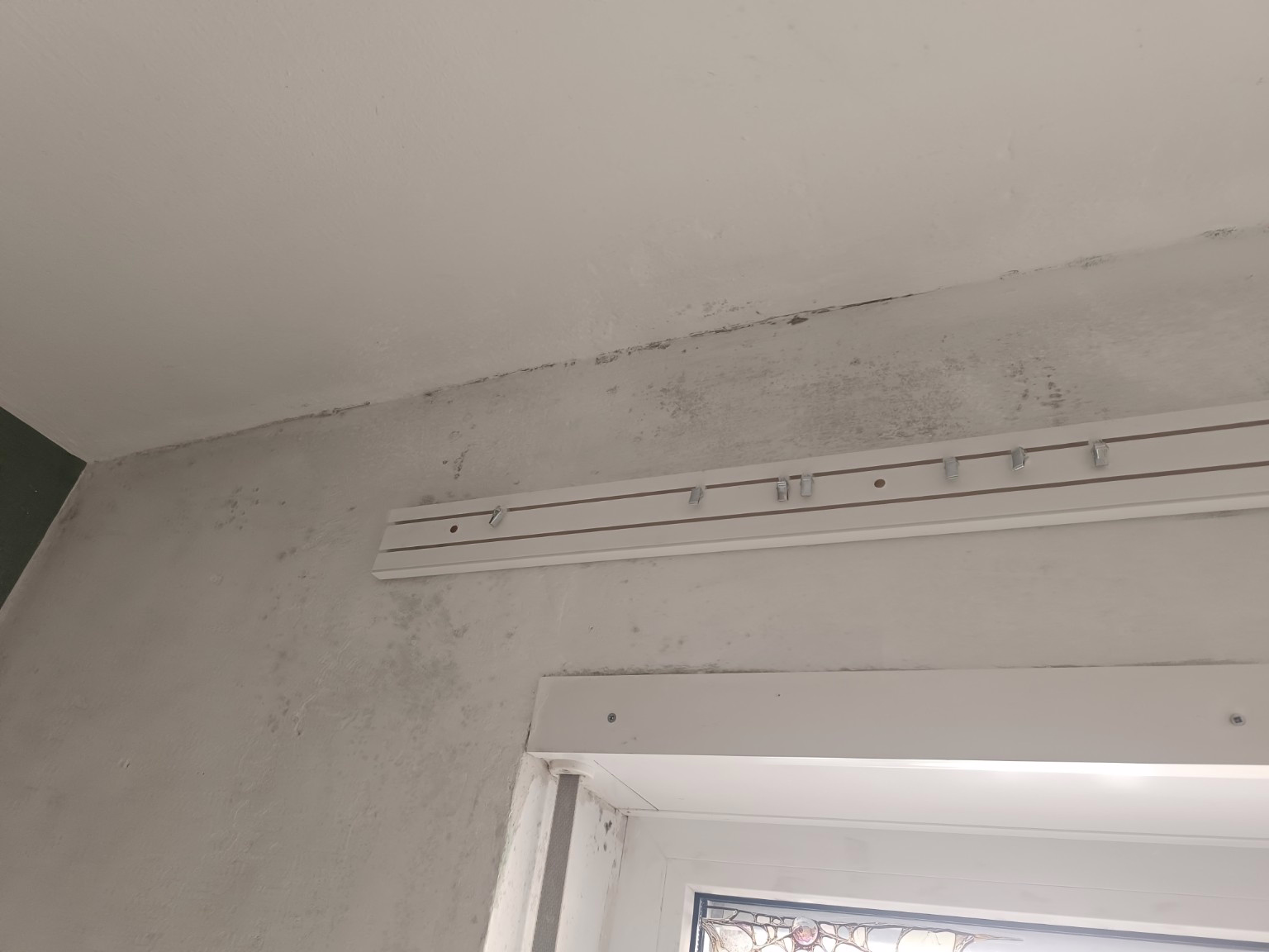 Schimmelprobleme im Innenraum