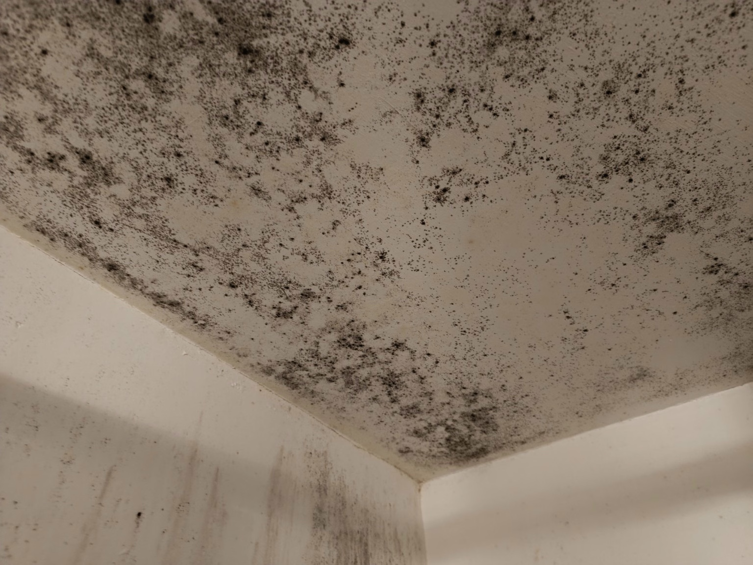 Schwarze Flecken und Schimmel an Decke in Willich nach Feuchteschaden.