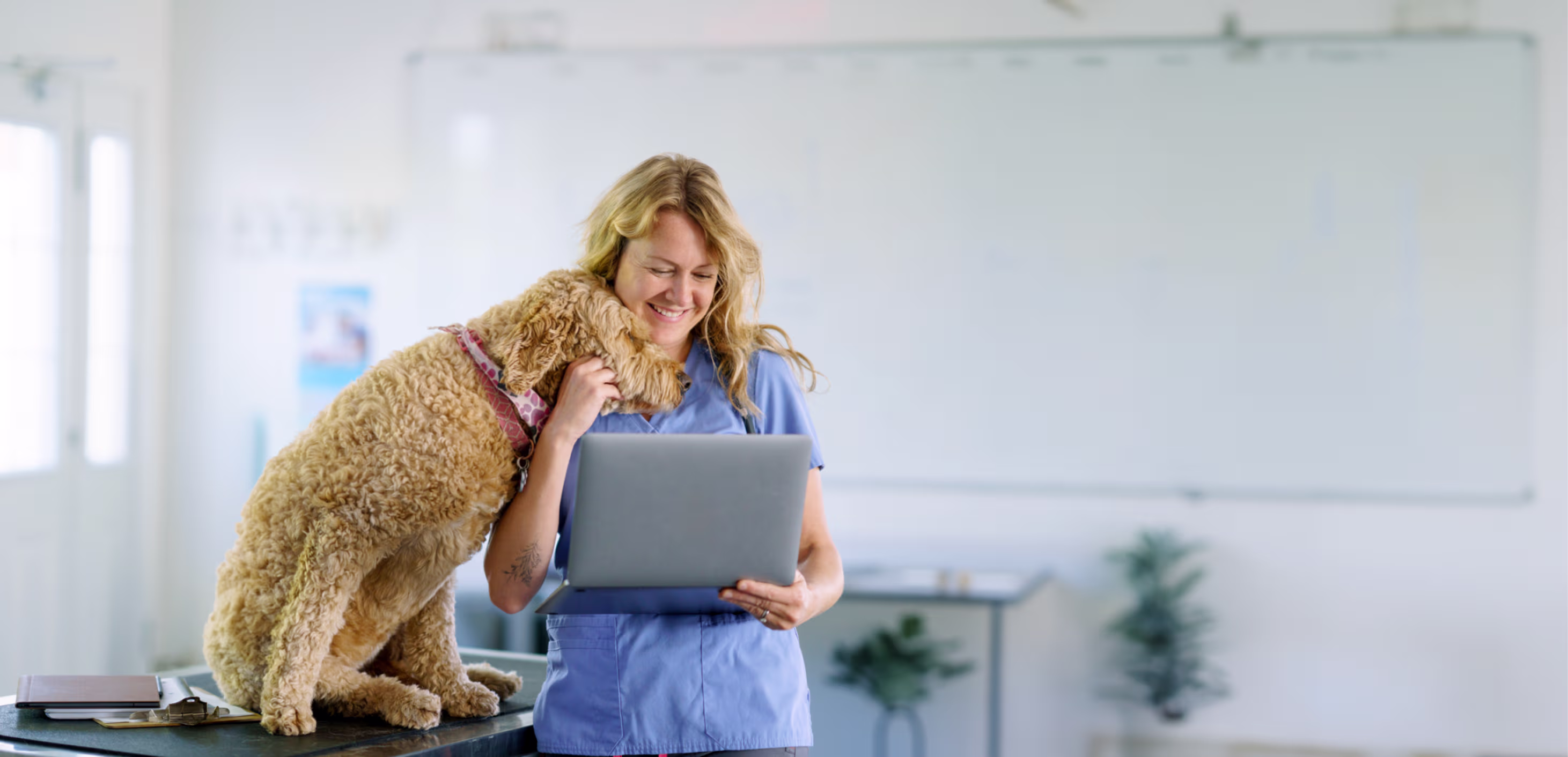 Provet veterinarian smiling with curly dog in blue medical scrubs