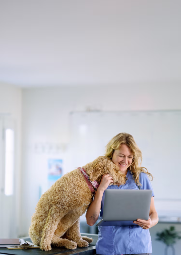 Provet veterinarian smiling with curly dog while working on laptop