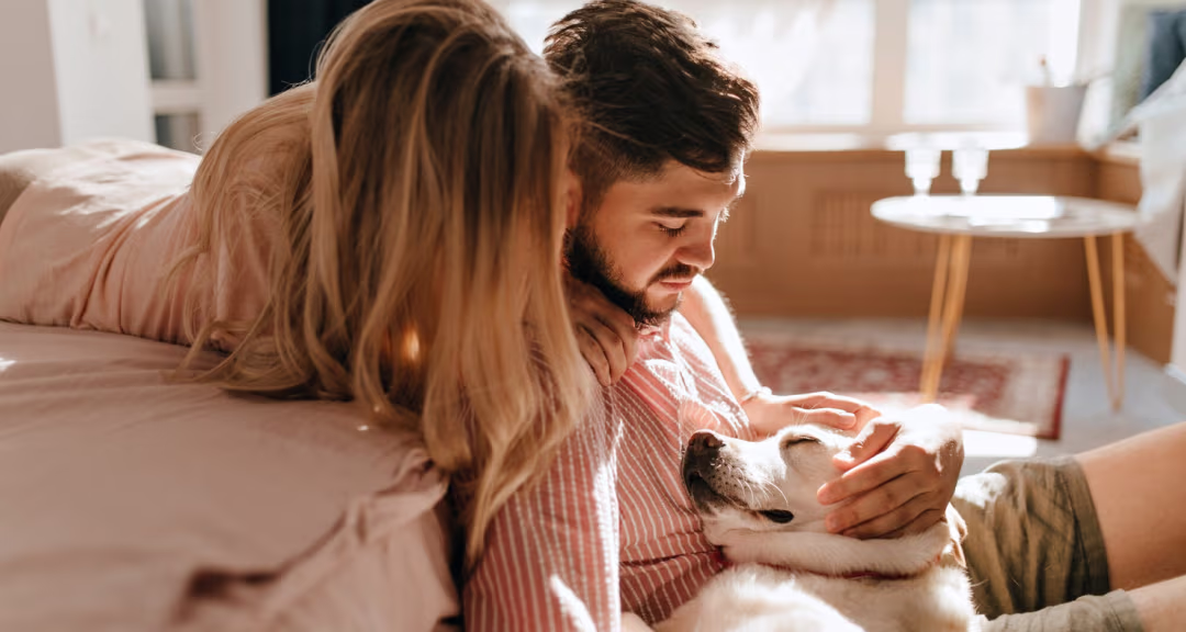 Provet: Loving couple cuddling with their white dog at home