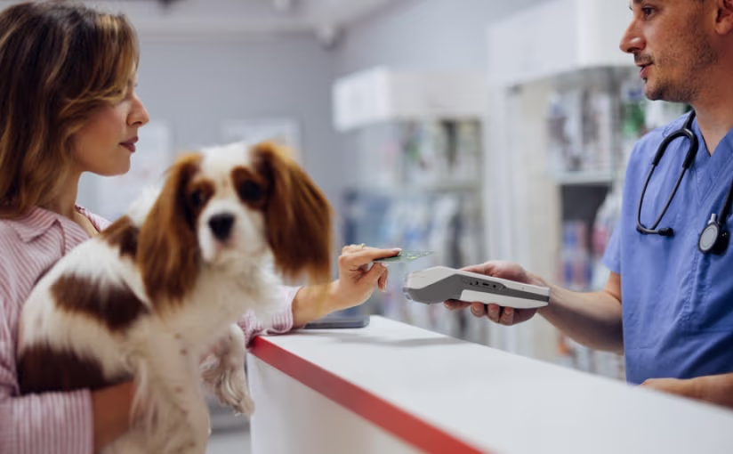 Provet Pay: Owner and veterinarian processing payment for dog's medical care