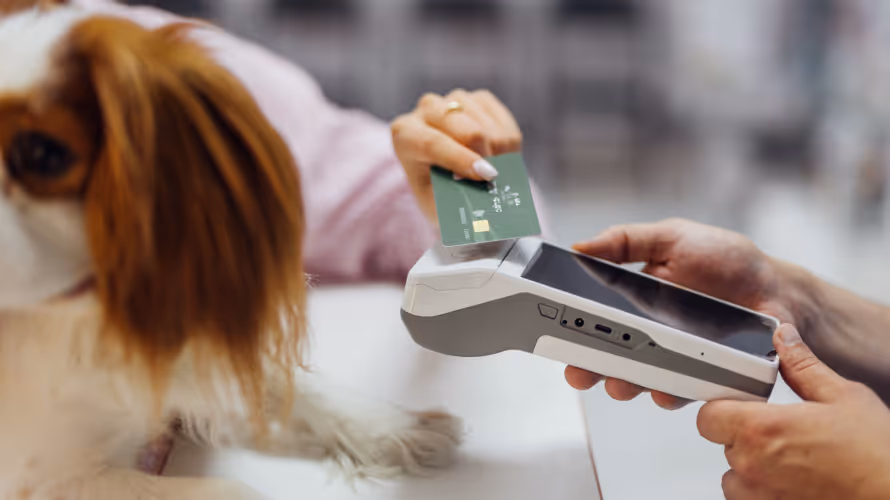 Provet Pay: Dog at vet clinic paying with credit card on mobile device