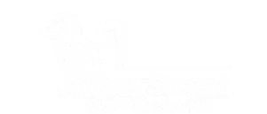 James Street Vets