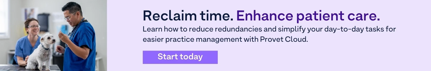 veterinarians-examining-dog