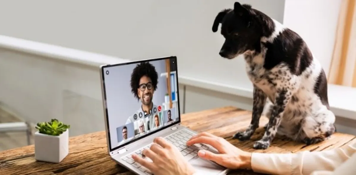 dog_video_call