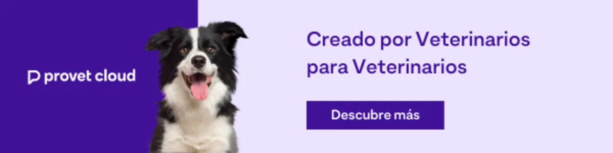 Historiales Clinicos | Provet Cloud