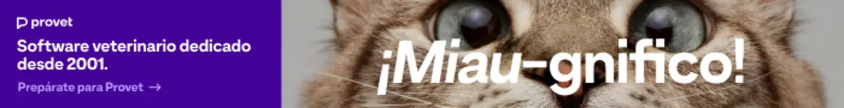 Newsletter Banner Octubre_700x90