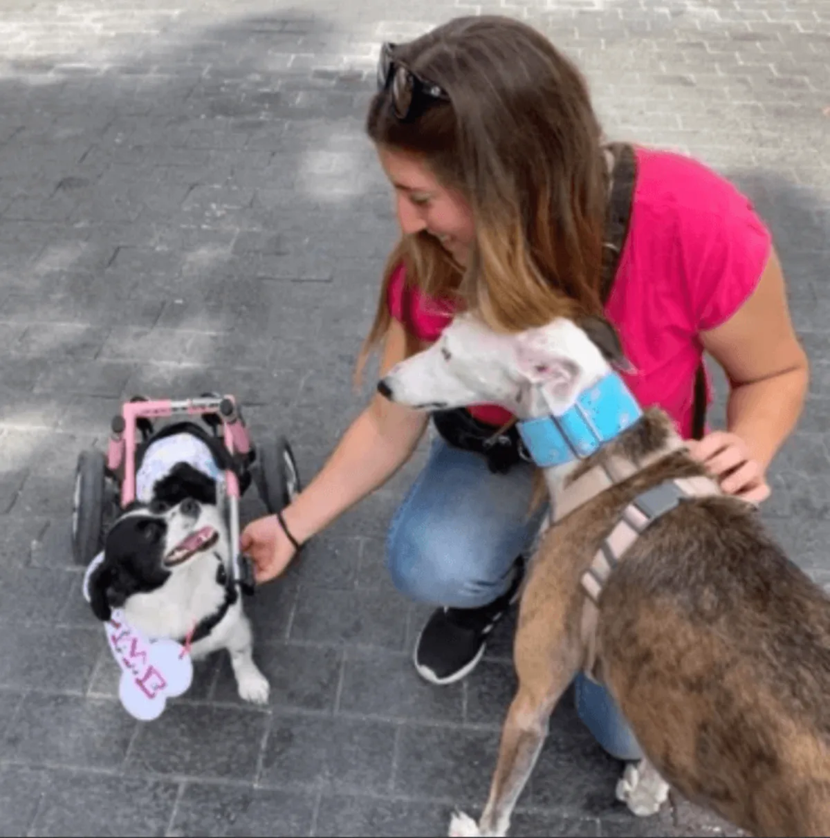 PIC4 BLOG Provet Cloud ES - Artículo 04 (1)