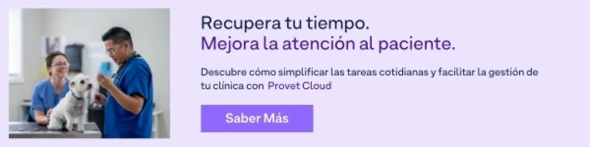 ES - General Practice