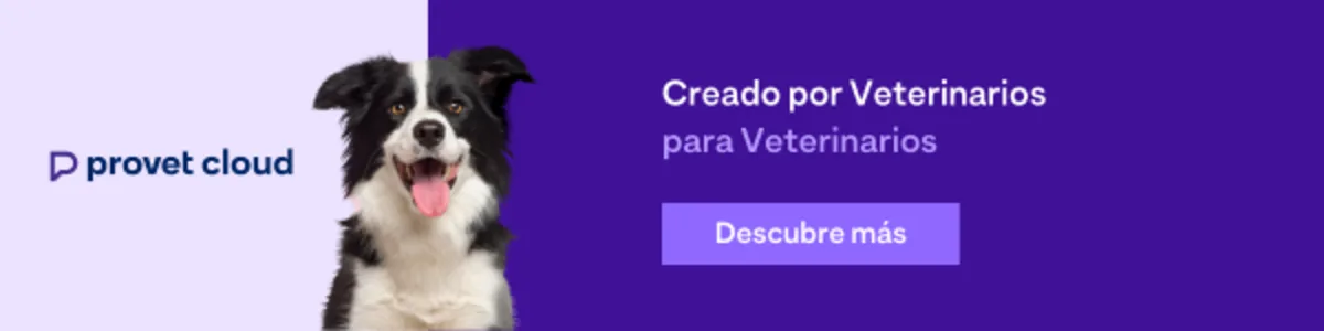 Creado por Veterinarios