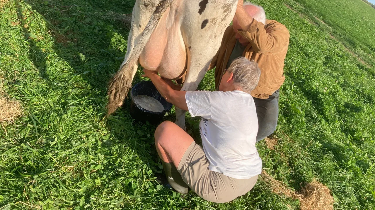 2-Jun-02-2025-03-30-57-0116-PM