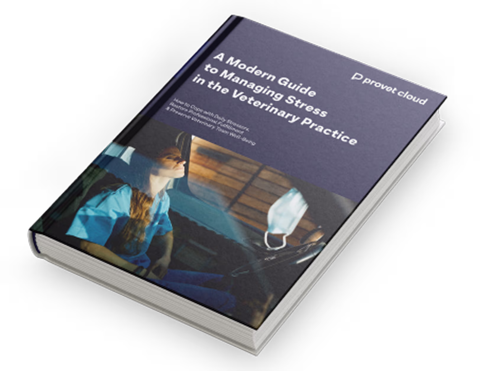 A Modern Guide to Managing Stress in the Veterinary Practice