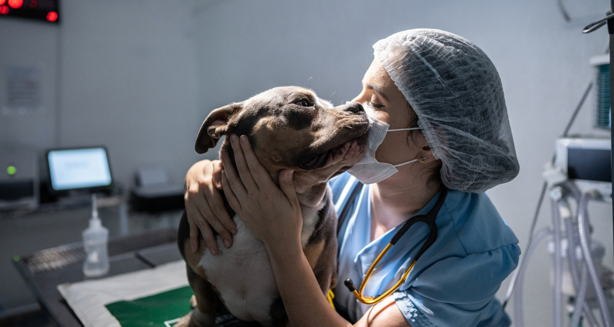 A Good Day in Veterinary Medicine