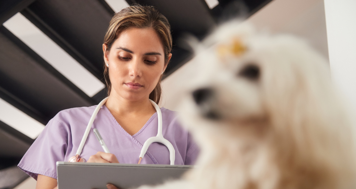 Veterinary Practice Management Software in The US