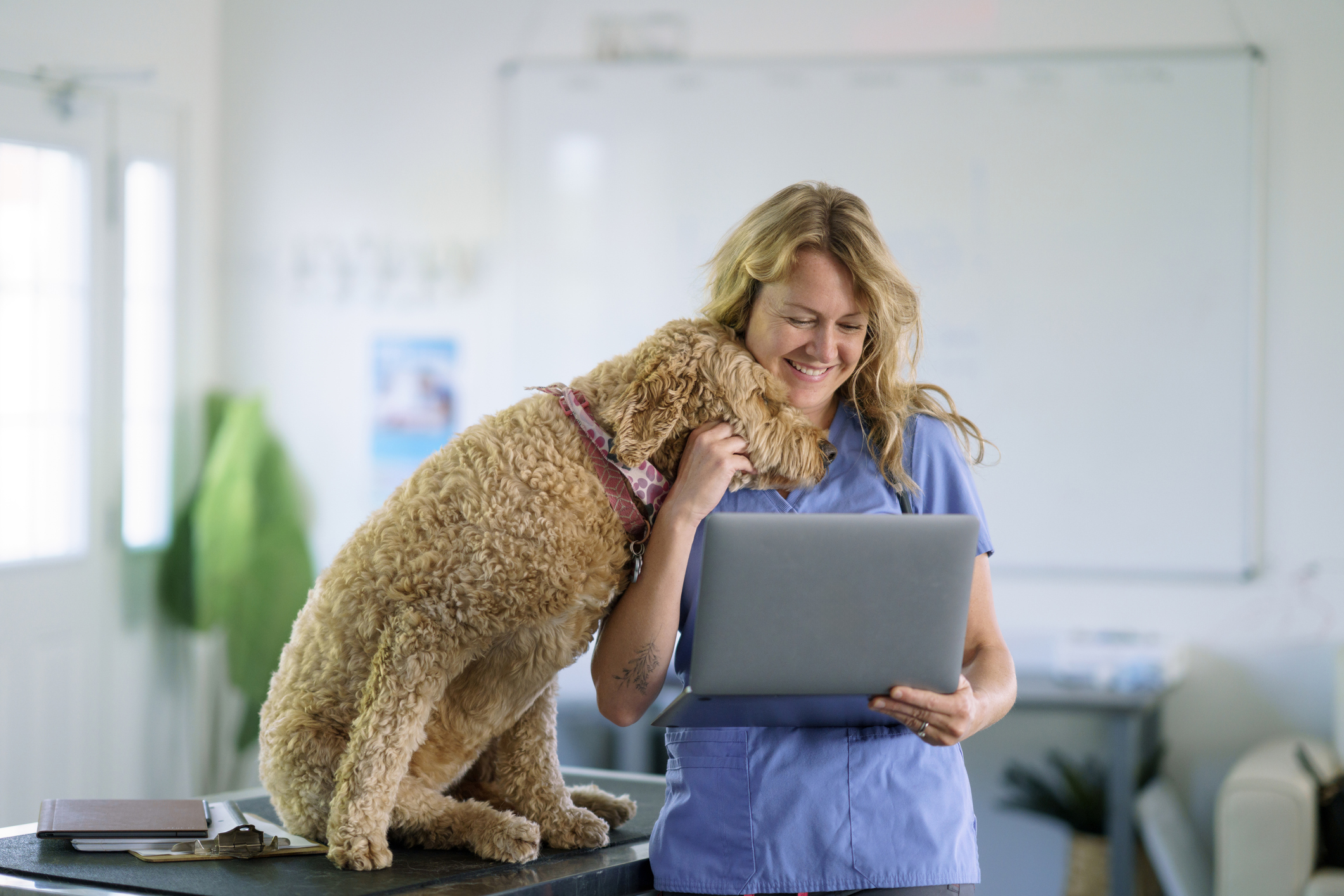 Best veterinary PMS in the UK