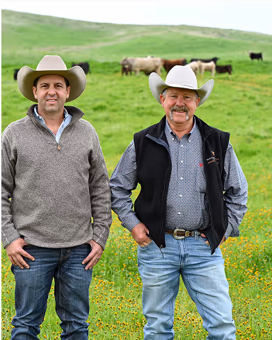 Two cowboys wearing hats standing in a green field with cattle grazing in the background.