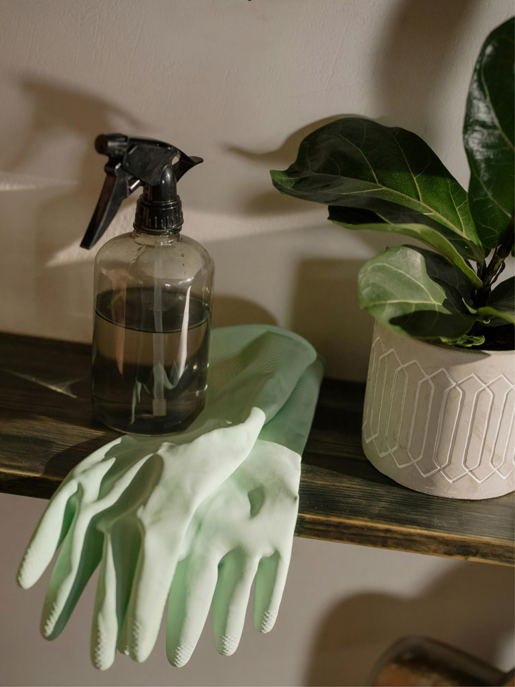 Cleaning gloves and a spray bottle resting on a wooden shelf beside a potted plant.