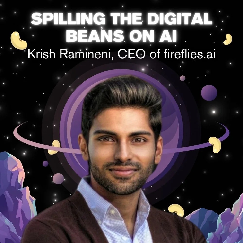 Krish Raminieni interview image