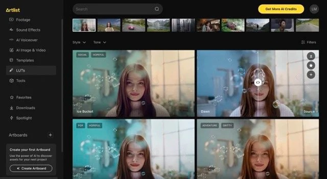 Honest Artlist Review