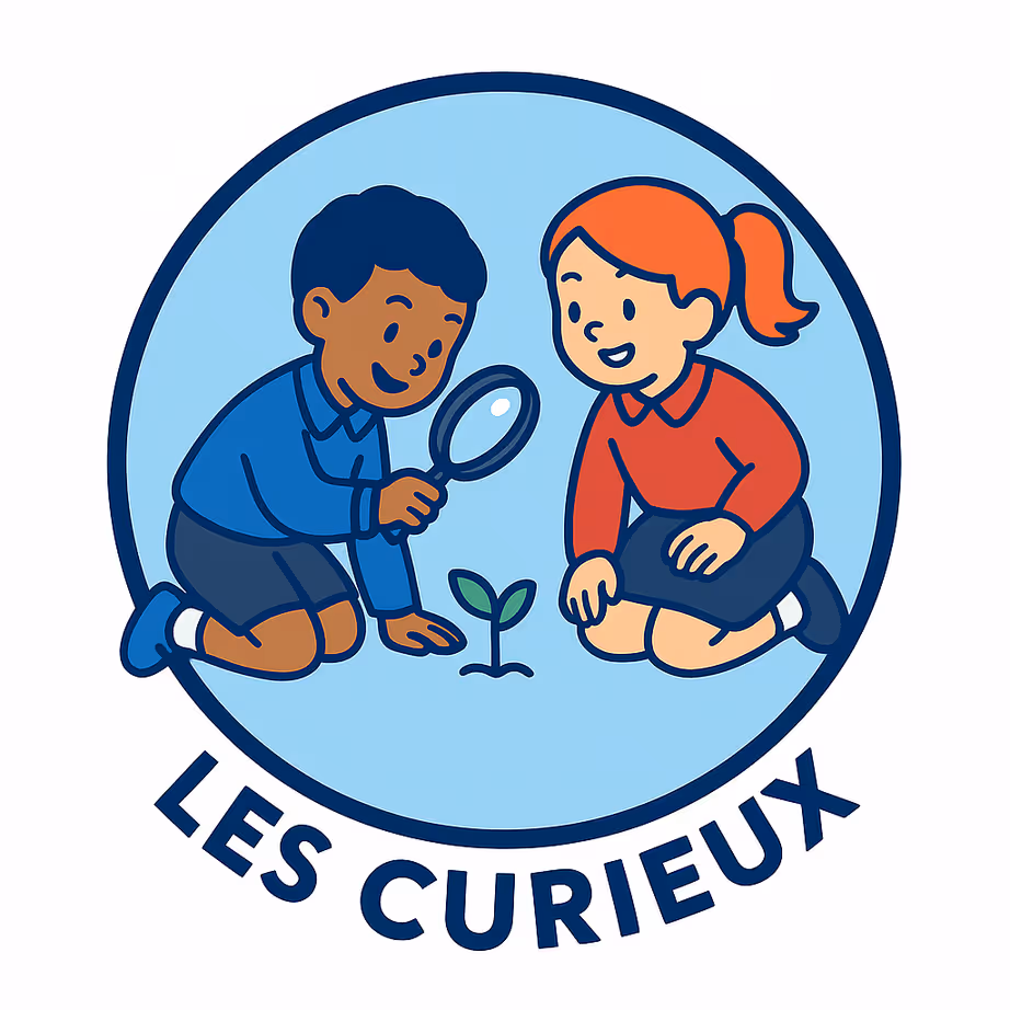 Ecole 314 - Les curieux