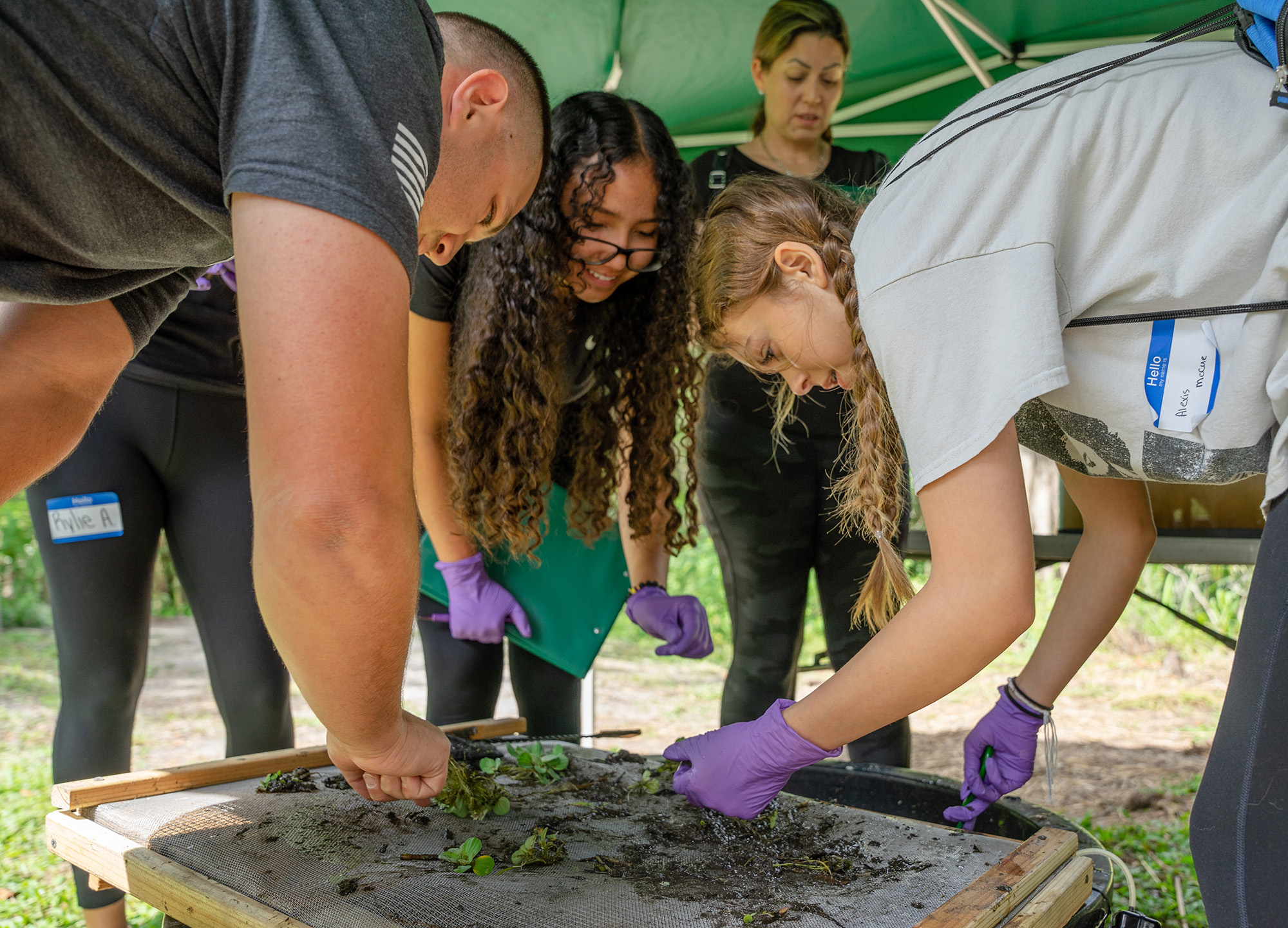 Students in the park digging through mud searching for organisms