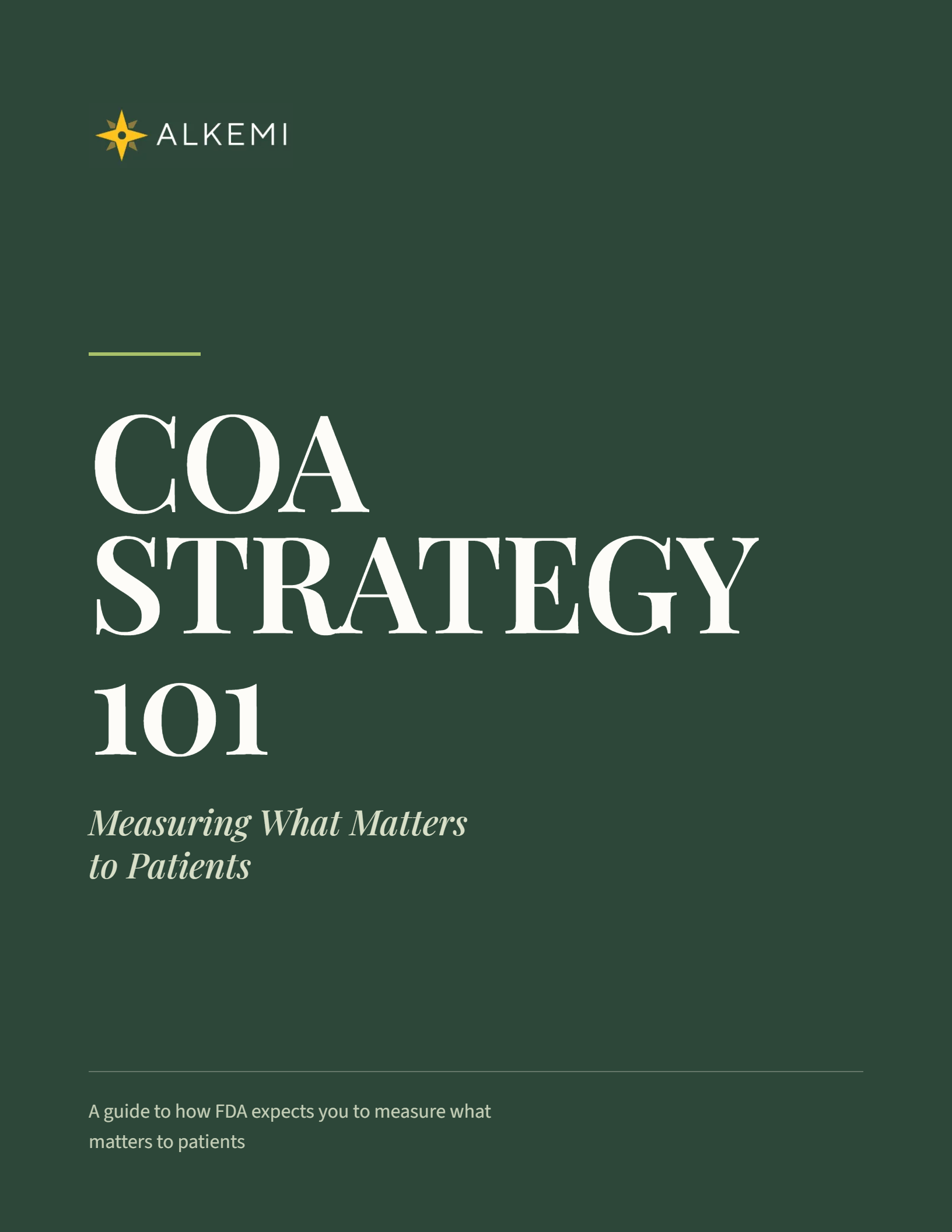Market Access 101 - A No Jargon Guide