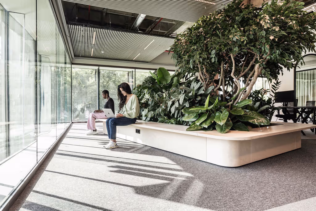 Virtuology - Our offices in Brussels - garden