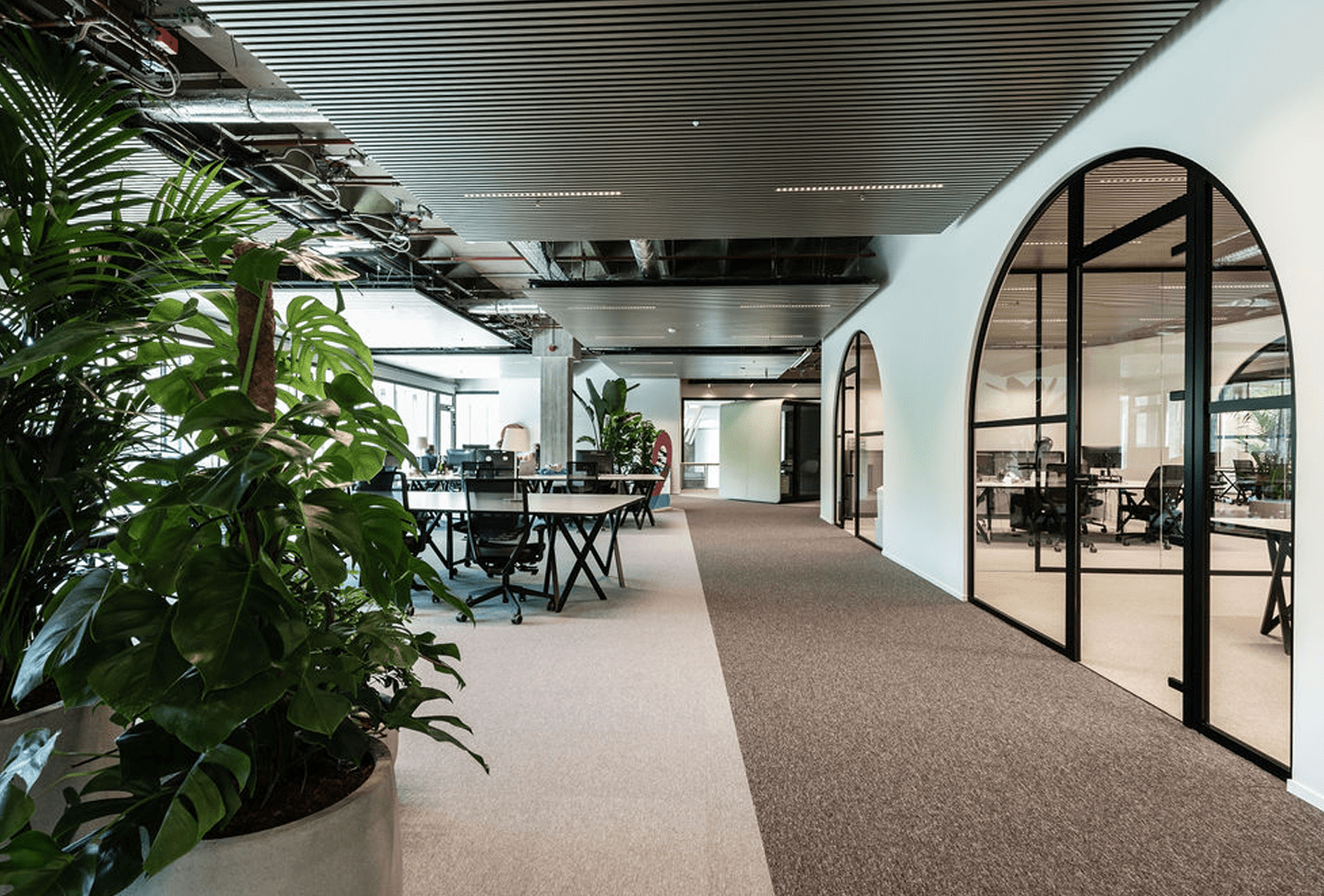 Virtuology - Our offices in Brussels